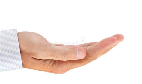 Businessman Hand With Palm Up Stock Photo Image Of Isolated Showing