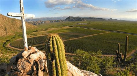 La Rioja Wine Region Guide And Regional Profile South America Wine Guide