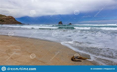 View Offshore From Sandfly Bay In New Zealand Stock Photo Image Of Otago Tourism