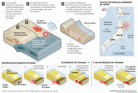 Infografía Sobre Los Tsunamis Imágenes Y Noticias