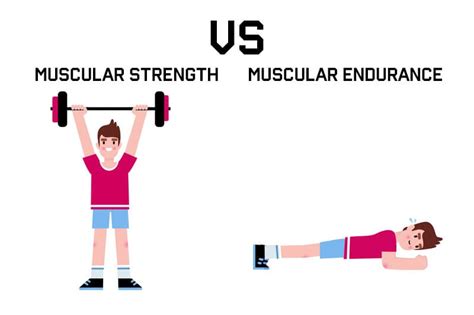 Muscular Strength Endurance Exercises