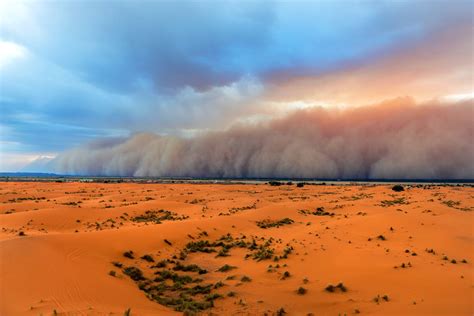 Sahara Desert Weather