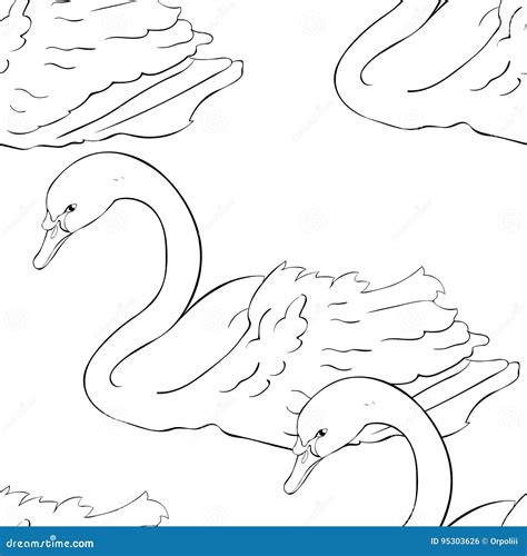 Seamless Pattern Coloring Swan Bird Swims Vector Illustration Stock