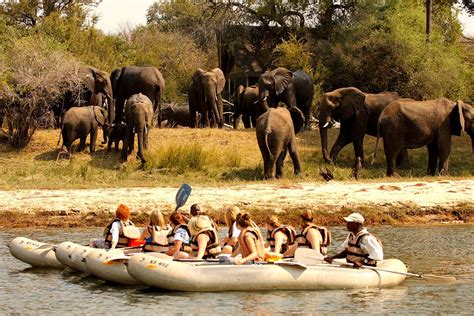 Victoria Falls Safari Holidays Cost And Prices Tours Vacation Packages