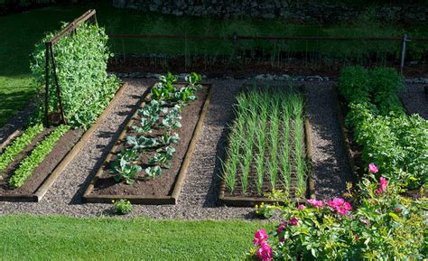 Step by step instructions to start a garden from scratch. All about gardening: How to Start Your Organic Garden from ...