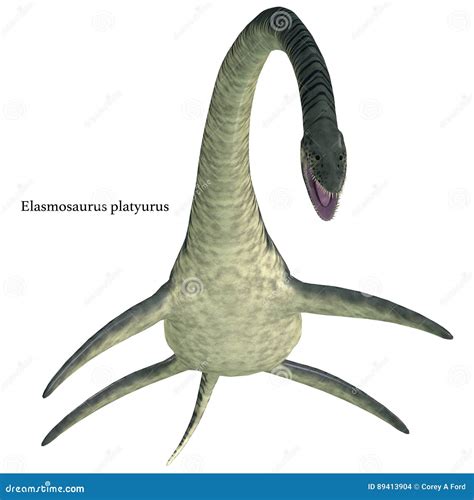 Elasmosaurus Aquatic Reptile With Font Stock Illustration
