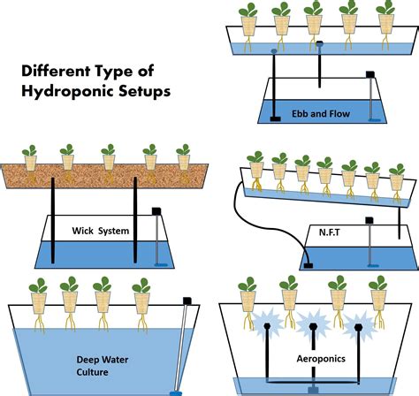 Hydroponics Can Be Thought Of As Growing Plants Without Soil However