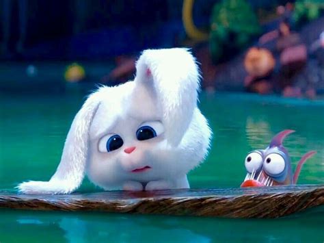 Wallpaper Snowball Secret Life Of Pets Daily Quotes