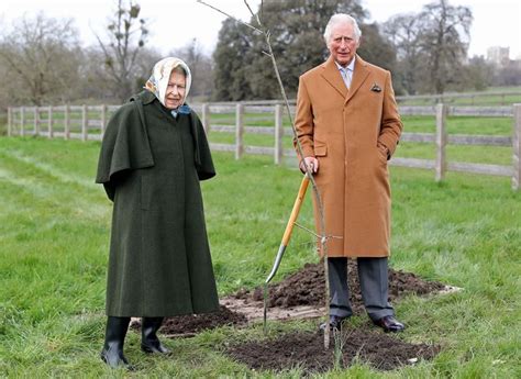 A parade, concert, pageant and more. UK urged to plant trees for Queen's Platinum Jubilee