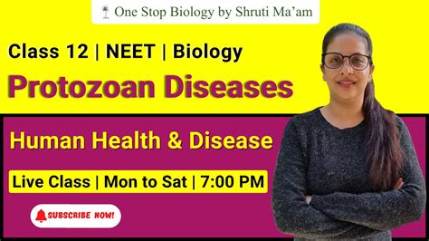 Protozoan Disease Human Health And Disease Neet 2022 Neet 2023
