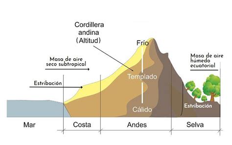 Estribaciones andinas qué son características ubicación importancia
