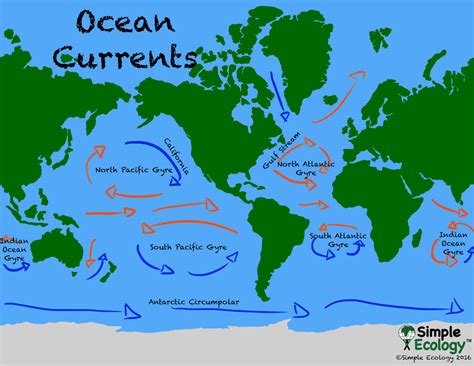 Our Plastic Pacific Ocean — Simple Ecology