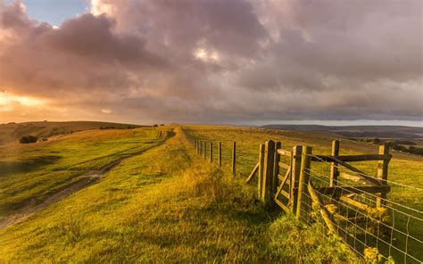 West Sussex England Landscape Grass Fence Farm Sheep Wallpaper