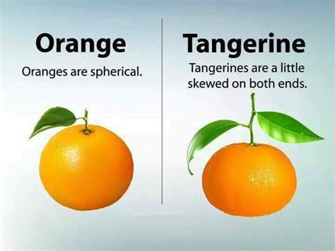 13 Differences That Will Enhance Your Knowledge