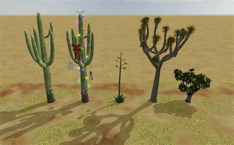 Can You Identify These Desert Plants In 2020 Desert P - vrogue.co