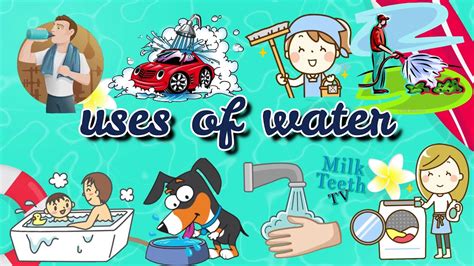 Uses Of Water Importance Of Water Water And Its Uses Uses Of