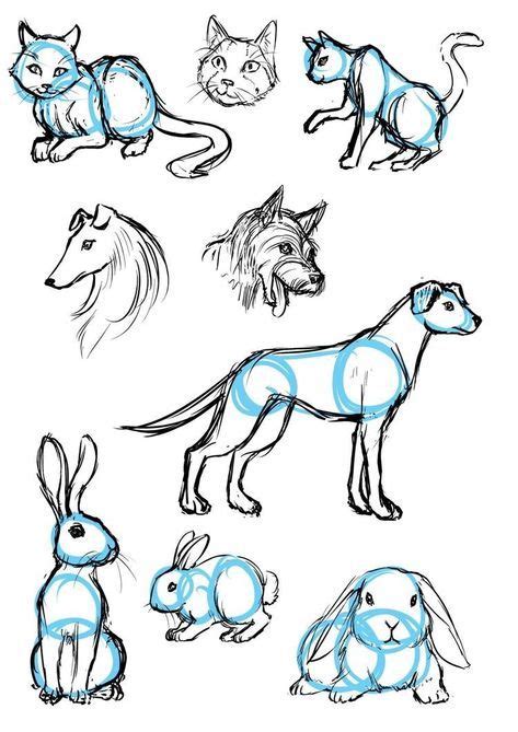 Animal sketch ideas are great for inspiration. 40 Free & Easy Animal Sketch Drawing Ideas & Inspiration ...