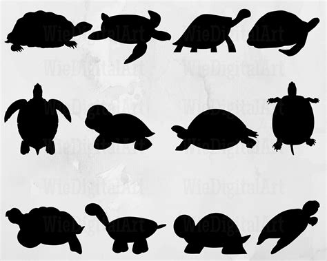 Turtle Svg Turtle Silhouette Turtle Svg Bundle Turtle Svg Design Turtle