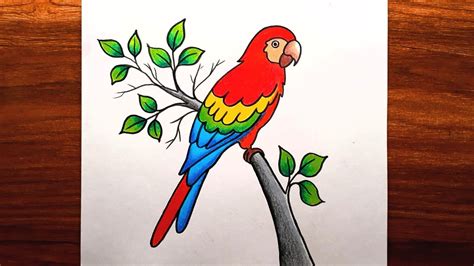 Parrot Drawing Step By Step How To Draw Parrot Parrot Drawing