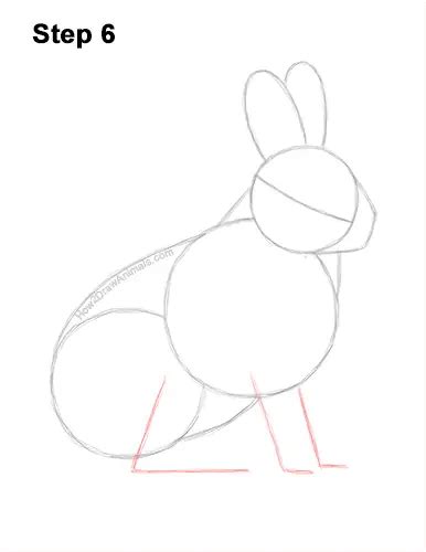 How To Draw A Snowshoe Hare Video And Step By Step Pictures