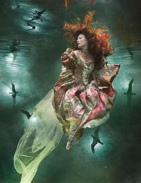 Underwater Photography By Zena Holloway More Boards Here