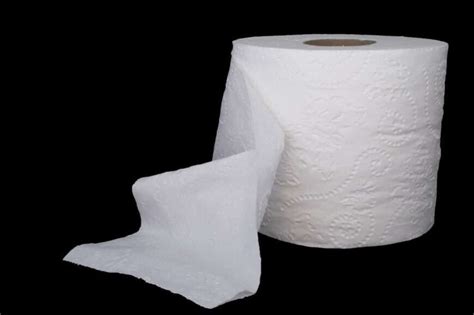 10 Different Types Of Toilet Paper 2023 Review Home Stratosphere