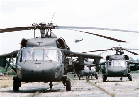 Uh 60 Black Hawk Helicopters Assigned To The 101st Airborne Division