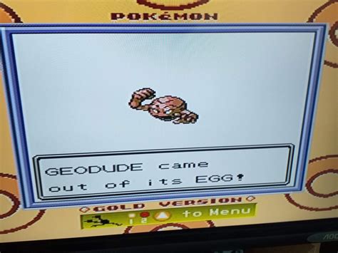 Shiny Geodude 47 eggs and evolutions Pokemon Gold Pokémon Amino