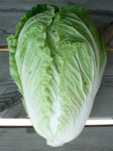 Pekinensis or brassica rapa pekinensis group) is a type of chinese cabbage originating near the beijing region of china and is widely used in east asian cuisine. Visit My Garden: Asian Greens