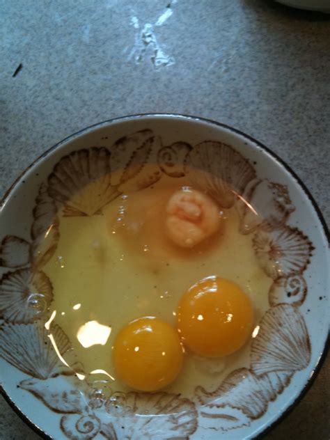 About three days after the eggs have started. Fertilized chicken egg gaggg! - Picture | eBaum's World