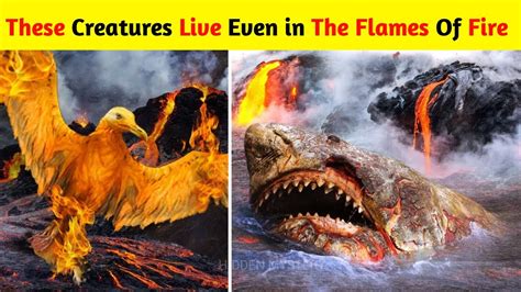 10 Unique Animals Found In Volcanoes 10 Incredible Animals That Live