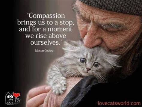 It takes nothing away from a human to be kind to an animal. 17 Best images about Kindness Compassion Generosity on Pinterest | Random acts, Words and Dalai lama
