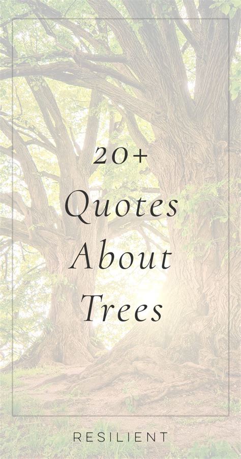 100 Quotes About Trees And Forests Resilient