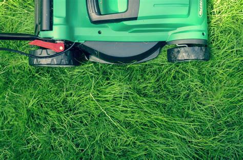 Fortwhyte Alive The Grass Is Always Greener Organic Lawn Care