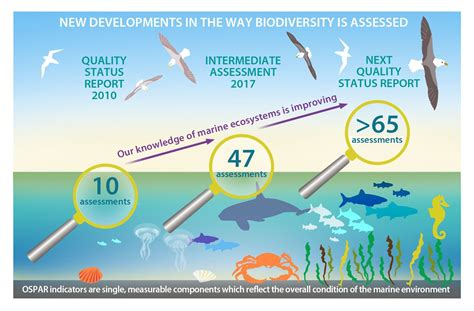 Marine Ia2017 New Developments In The Way Biodiversity Is Assessed