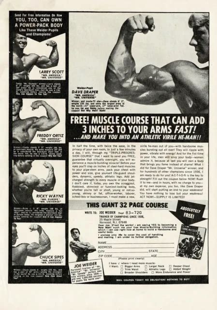 1970s Original Vintage Dave Draper Joe Weider Bodybuilding Muscle Photo