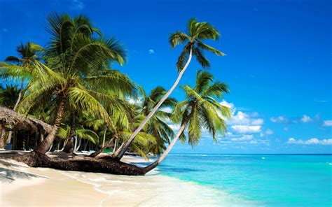 Download Wallpapers Tropical Islands Beach Palm Trees Summer