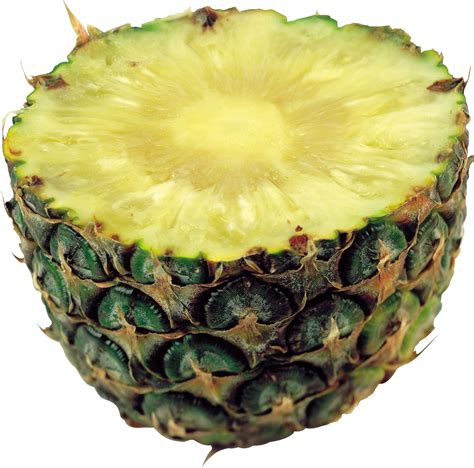 Clipart Pineapple High Quality Clipart Pineapple High Quality