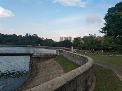 Macritchie nature trail is what a nature lover would call an 'activity in paradise'. MacRitchie Reservoir & Nature Trail Walk - Park Map, Singapore