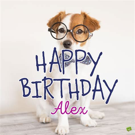 Happy Birthday Alex Meme