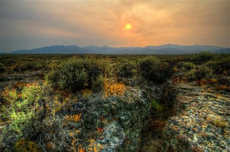 Idaho Usa Grasslands Sunrises And Sunsets Shrubs Hd Wallpaper