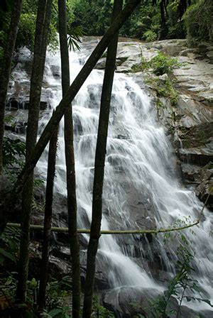 Perjalanan untuk mencapai air terjun ini terbilang sangat berat. Gabai Waterfalls (Air Terjun Sungai Gabai) - Visit Selangor