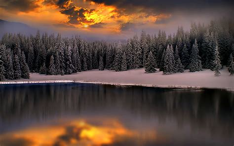 720p Free Download Winter Splendor Woods Bonito Sunset Clouds