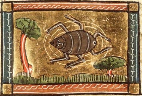 Majestical Beafts The Wonderful World Of Medieval Insects