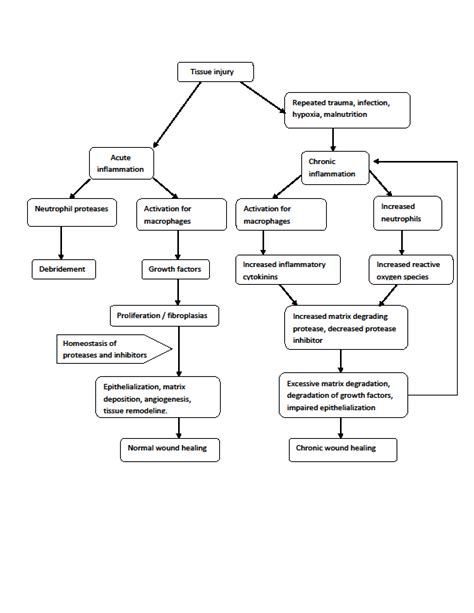 Wound Healing Pathway