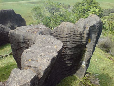 Filelimestone Formation In Waitomo Wikipedia