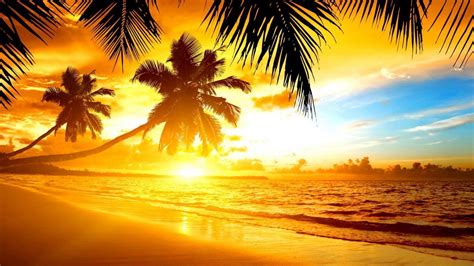 Free Download 45 Tropical Beach Sunset Wallpapers Download At