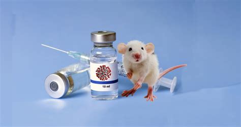 Vacuna contra el coronavirus sin pruebas con animales ...
