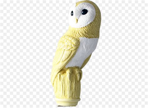Dengan membuat sketsanya terlebih dahulu maka akan maksimal hasil burung hantu adalah kelompok burung yang merupakan anggota ordo strigiformes. Burung Hantu, Paruh gambar png