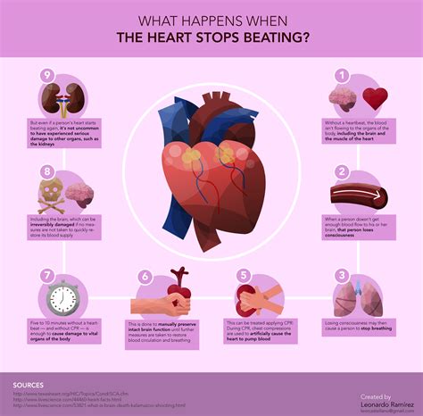 what happens when the heart stops beating infographi behance behance